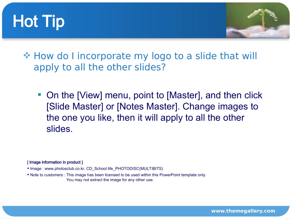 经典PPT模板二：Themegallery-PowerTemplate2_第3页