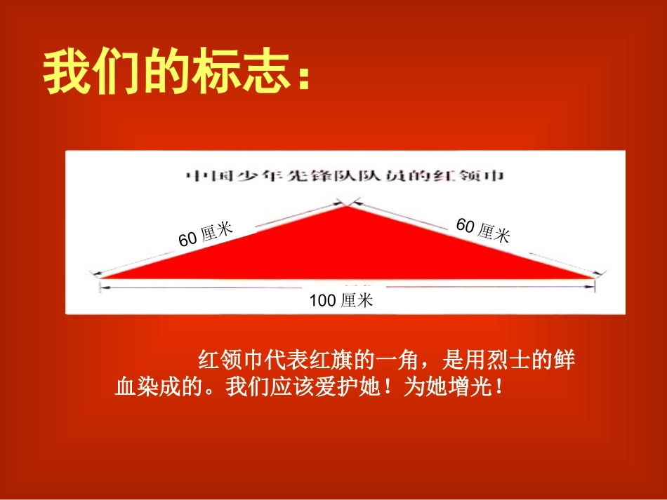 少先队-队课-课件_第3页