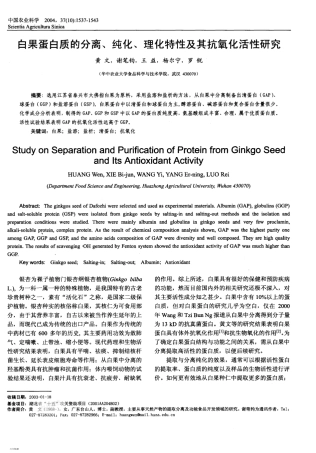 白果蛋白质的分离
