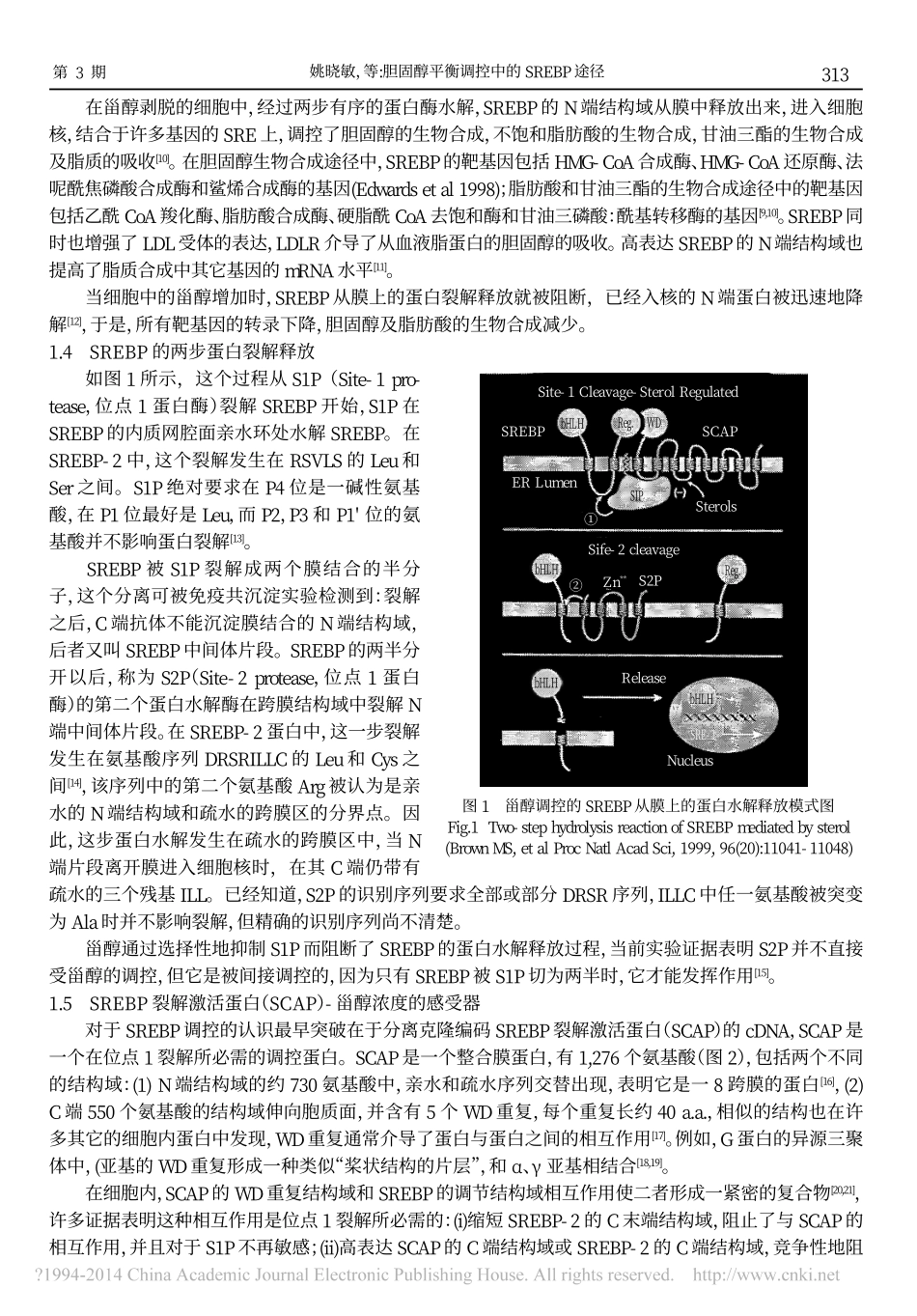 胆固醇平衡调控_第3页