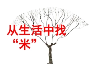 《从生活中找“米”》课件(16页)