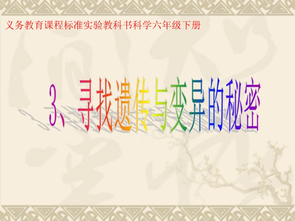 3寻找遗传与变异的秘密_第1页