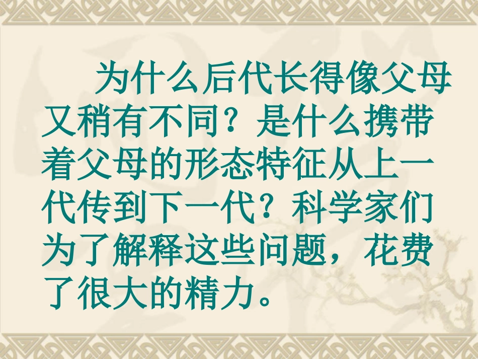 3寻找遗传与变异的秘密_第2页
