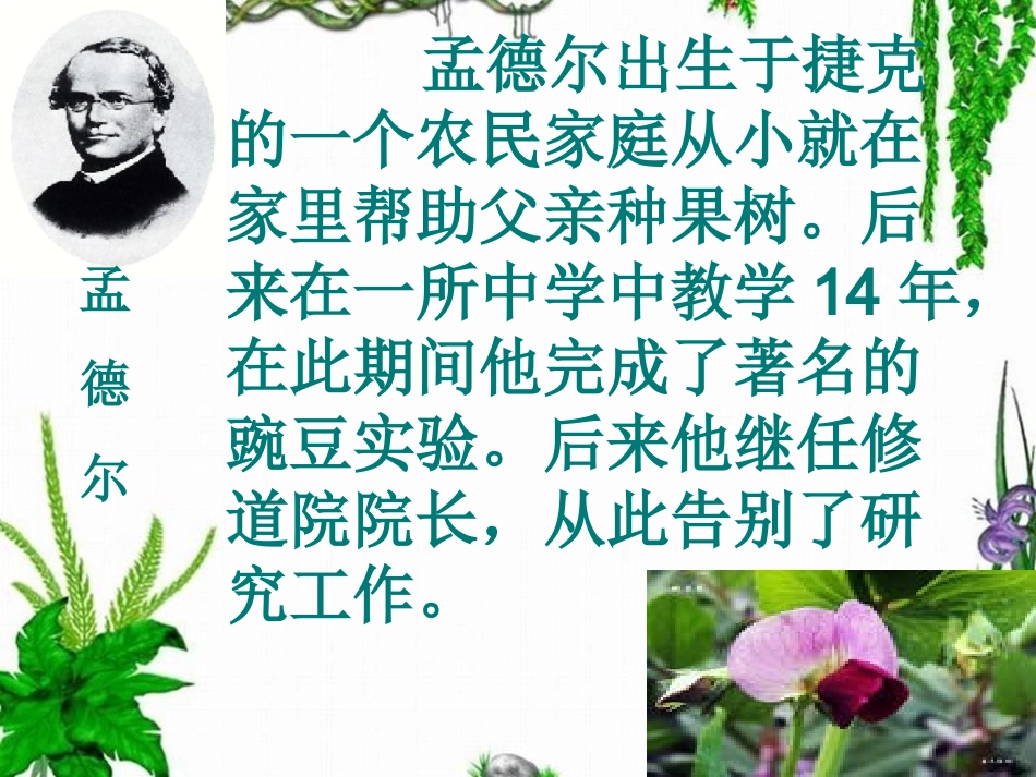 3寻找遗传与变异的秘密_第3页