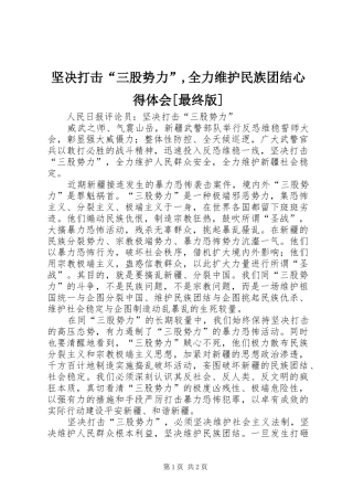 坚决打击“三股势力”,全力维护民族团结心得体会[最终版]