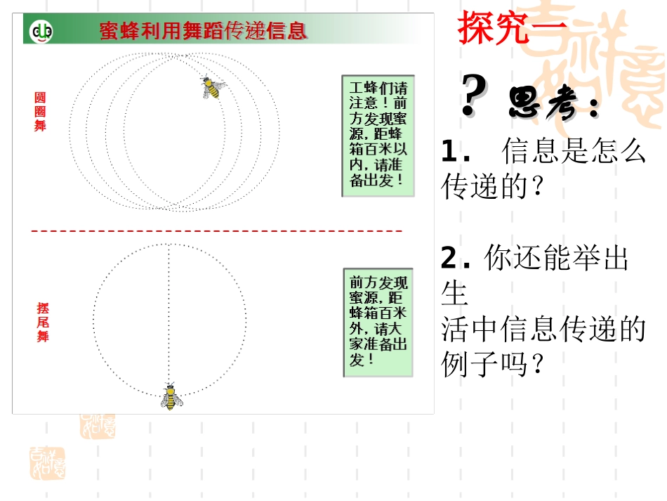 生态系统的信息传递_第3页
