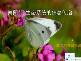 生态系统的信息传递