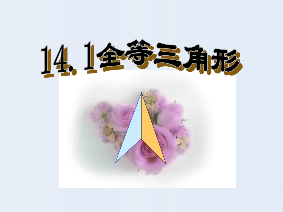 14、1全等三角形_第1页