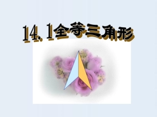 14、1全等三角形