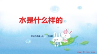 4水是什么样的