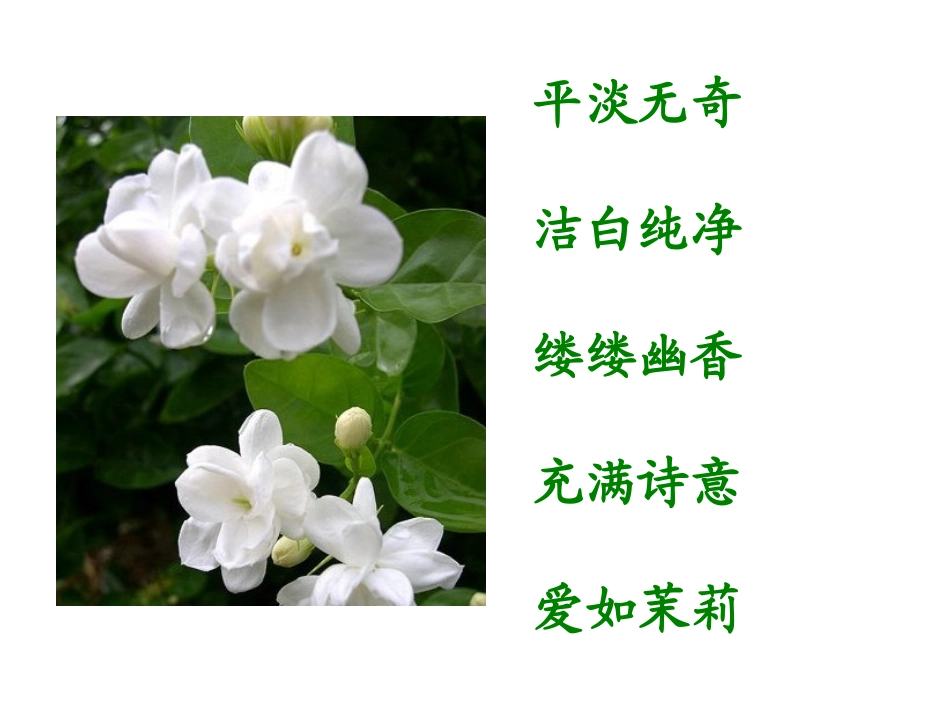 爱如茉莉2-(2)_第2页