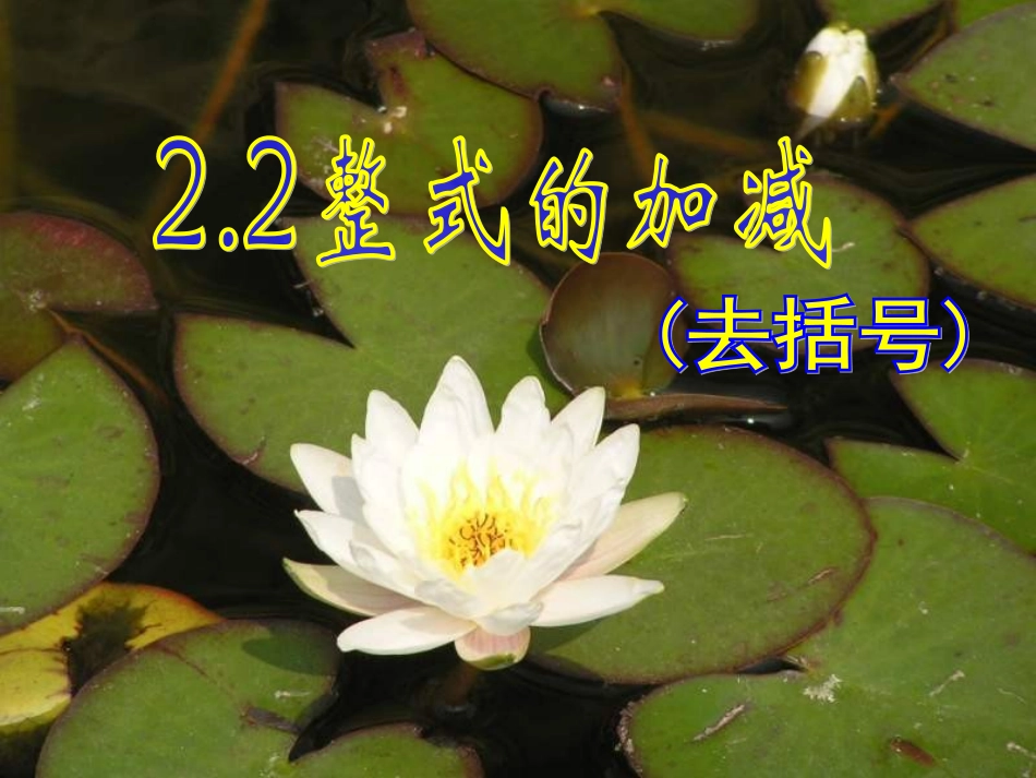 整式的加减2去括号.2.2-整式的加减(去括号)1_第1页