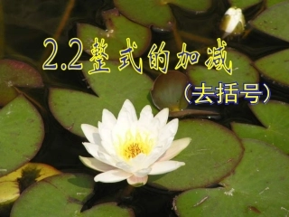 整式的加减2去括号.2.2-整式的加减(去括号)1