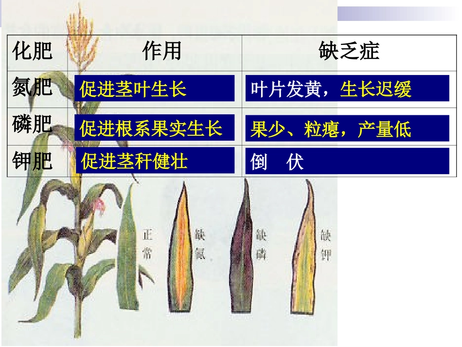 氮肥的鉴别和应用_第3页