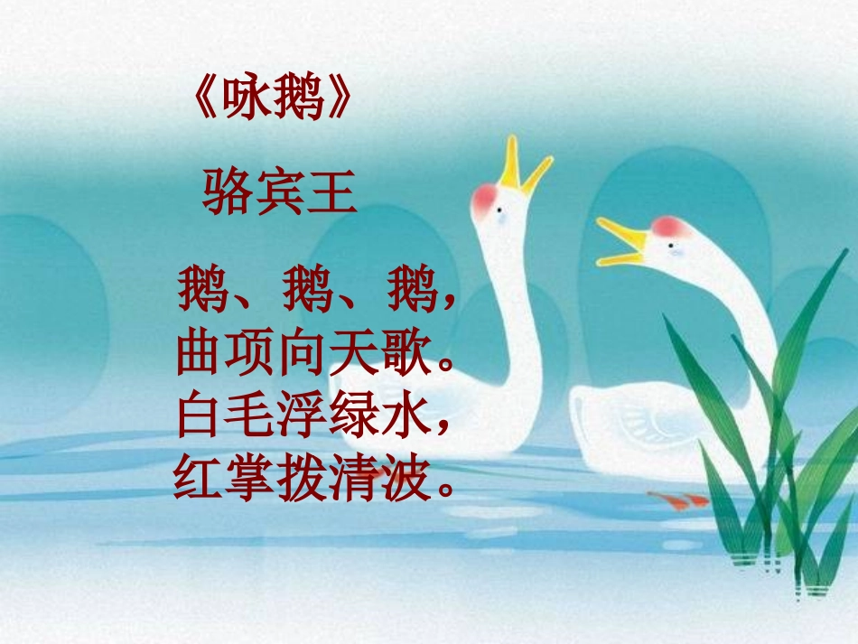 13白鹅课件_第1页