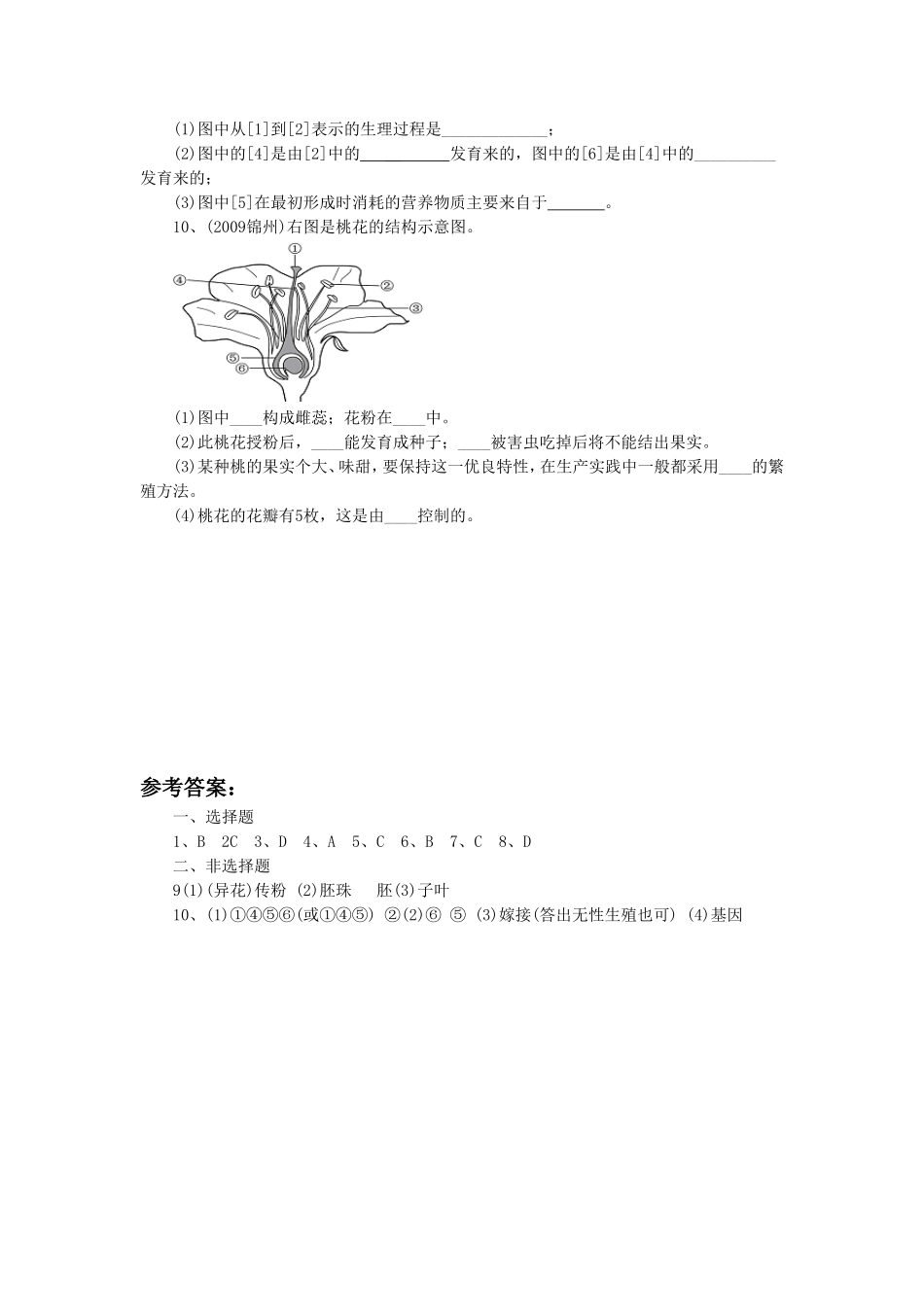 《第三节-开花和结果》同步练习2_第2页