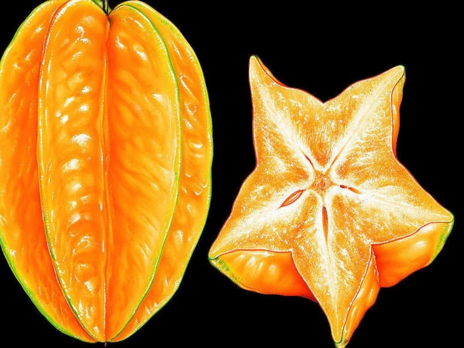 17画杨桃课件_第2页