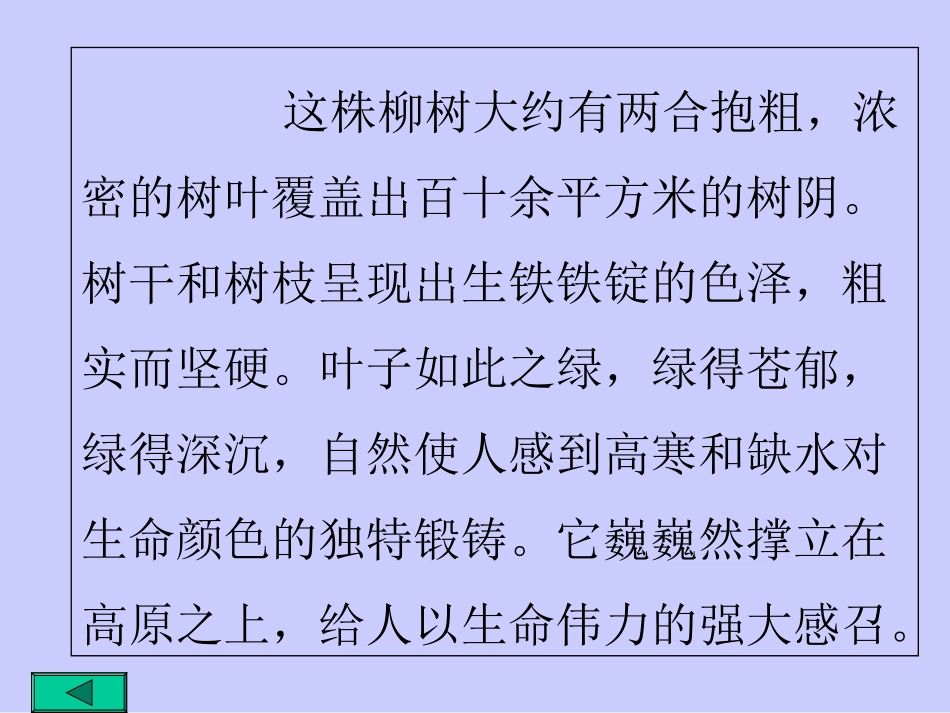 青海高原一株柳_第2页