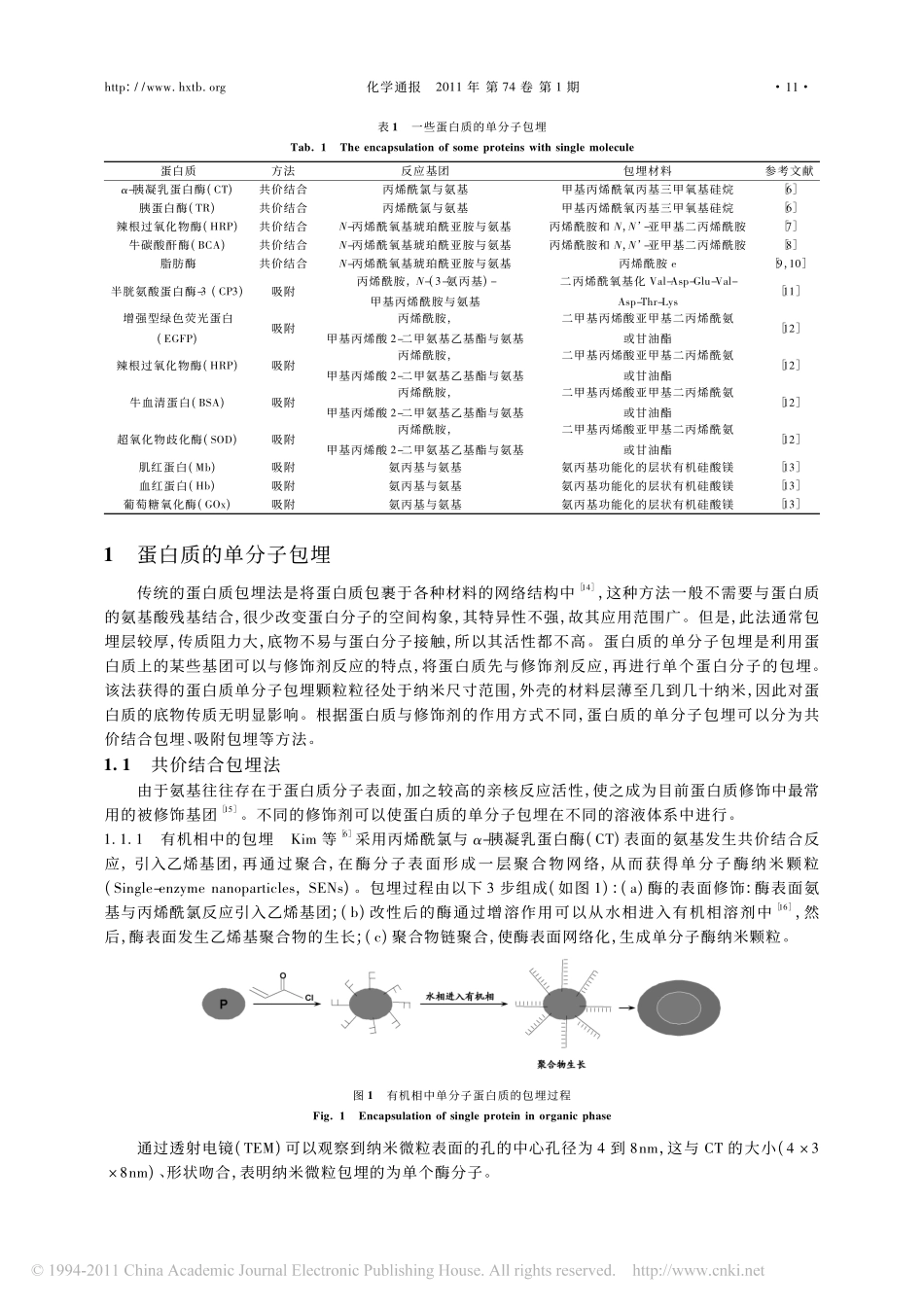 蛋白质的单分子包埋_第2页