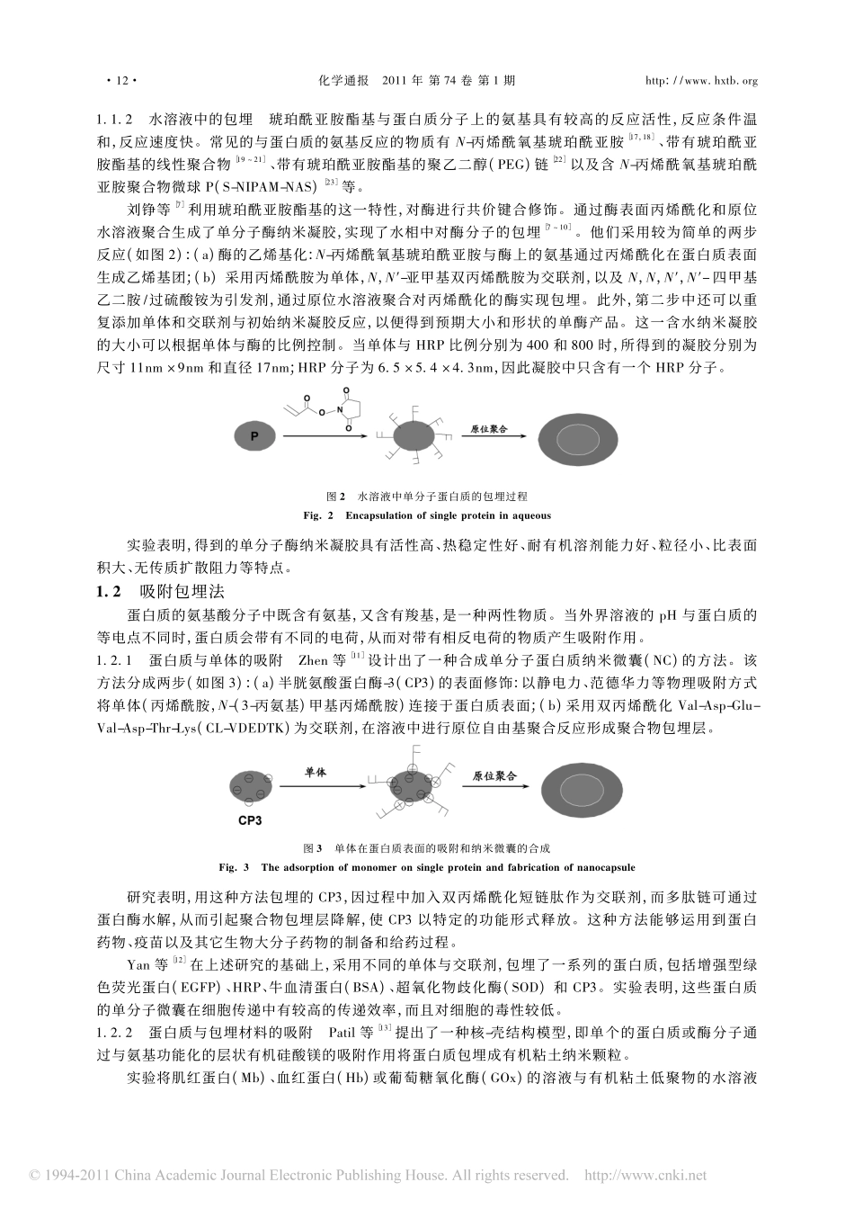 蛋白质的单分子包埋_第3页