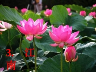 江南-(2)