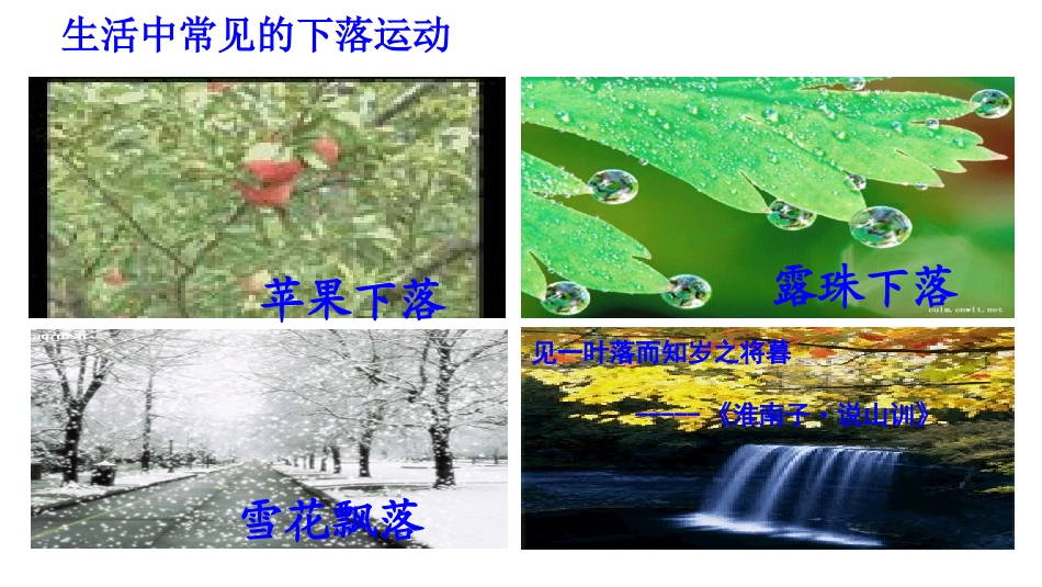 5.自由落体运动_第2页