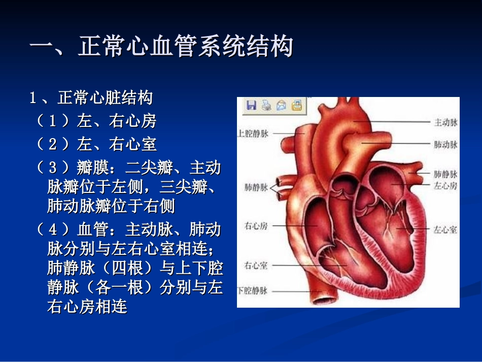 常见先天性心脏病_第2页