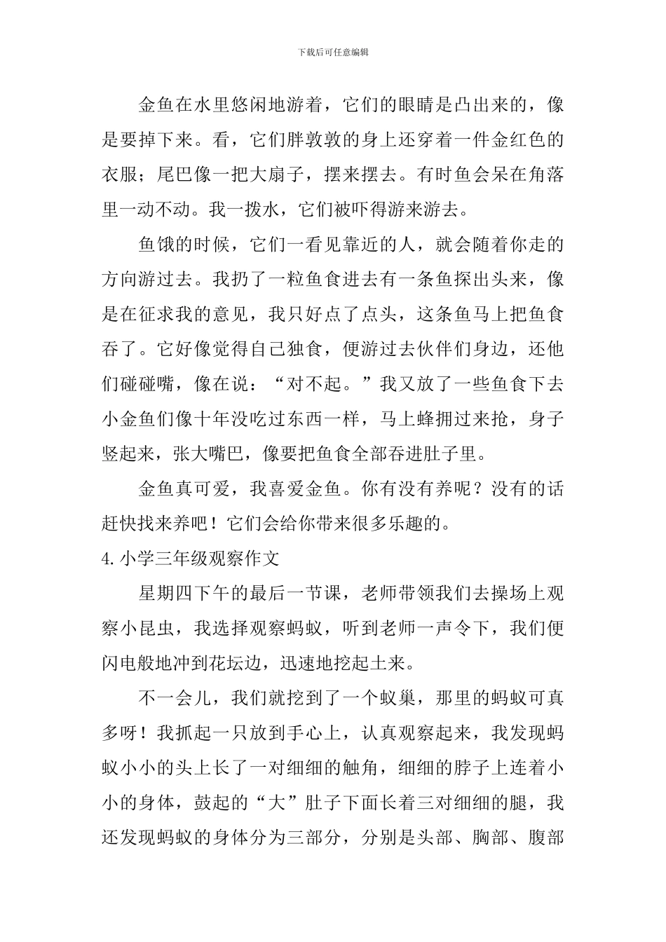 小学三年级观察作文_第3页