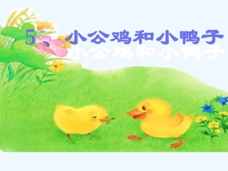 (部编)人教语文2011课标版一年级下册小公鸡和小鸭子课件-(11)