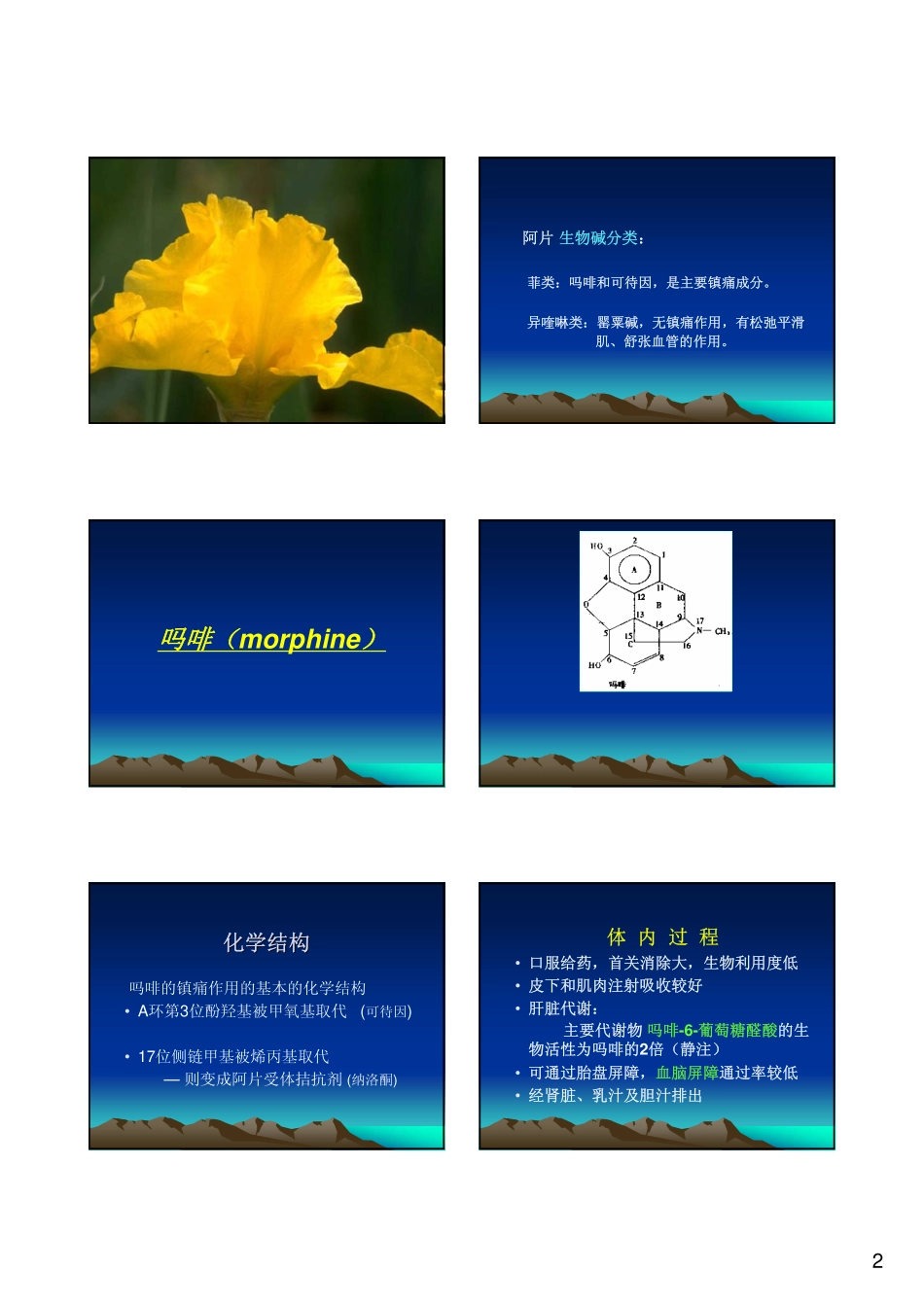 第19章-镇痛药_第2页