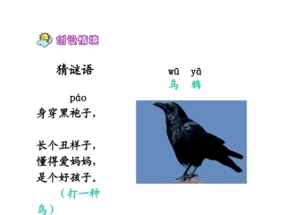 《24-乌鸦喝水》课件