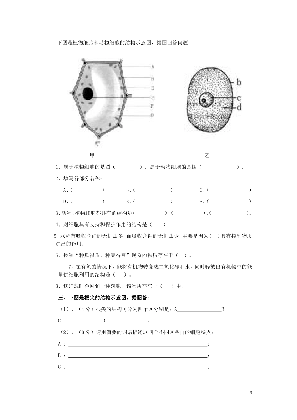 2012年下学期七年级生物科期中考试试卷_第3页