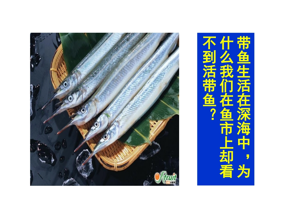 2液体的压强_第3页