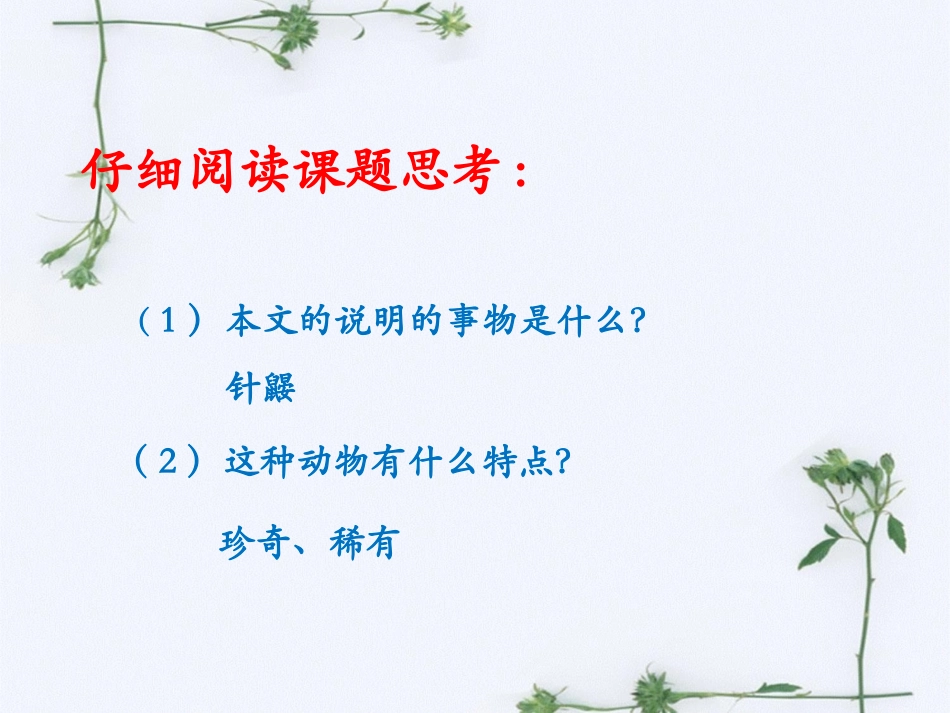 《珍奇的稀有动物—针鼹》课堂学习_第1页