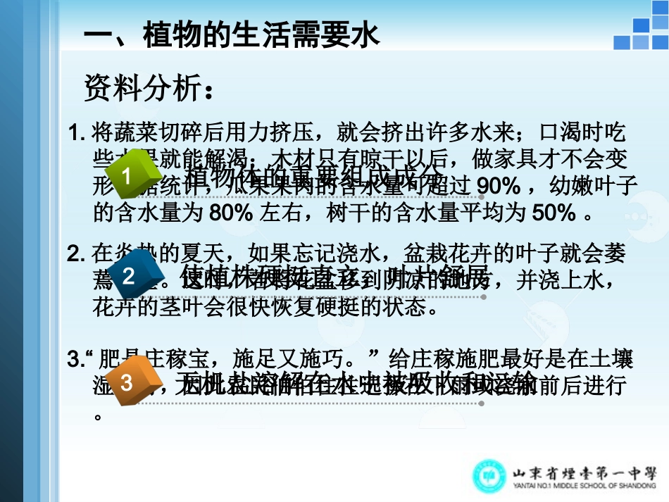 第一节水分进入植物体内的途径_第3页
