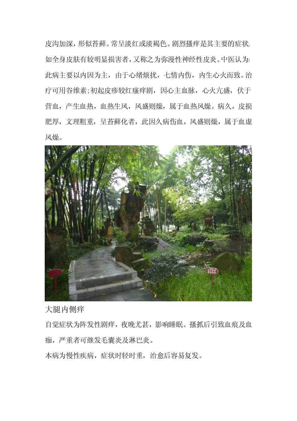 大腿内侧痒(因素)_第2页