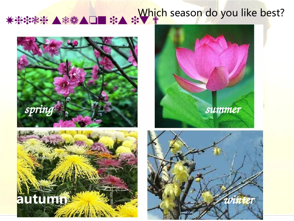 unit2lesson3what'syour-favourite-season-课件_第3页