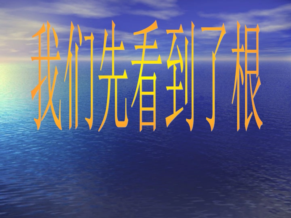 我们先看到了根课件_第2页