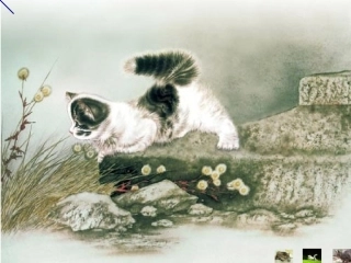 《猫》老舍(公开课课件)