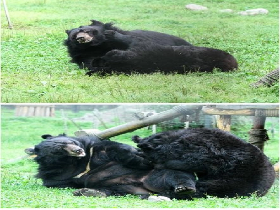 《蹦蹦跳跳身体好》_第3页