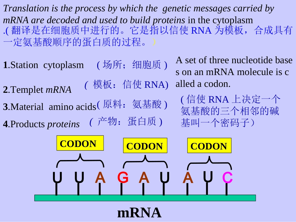 蛋白质的合成与中心法则_孟胜利_第3页