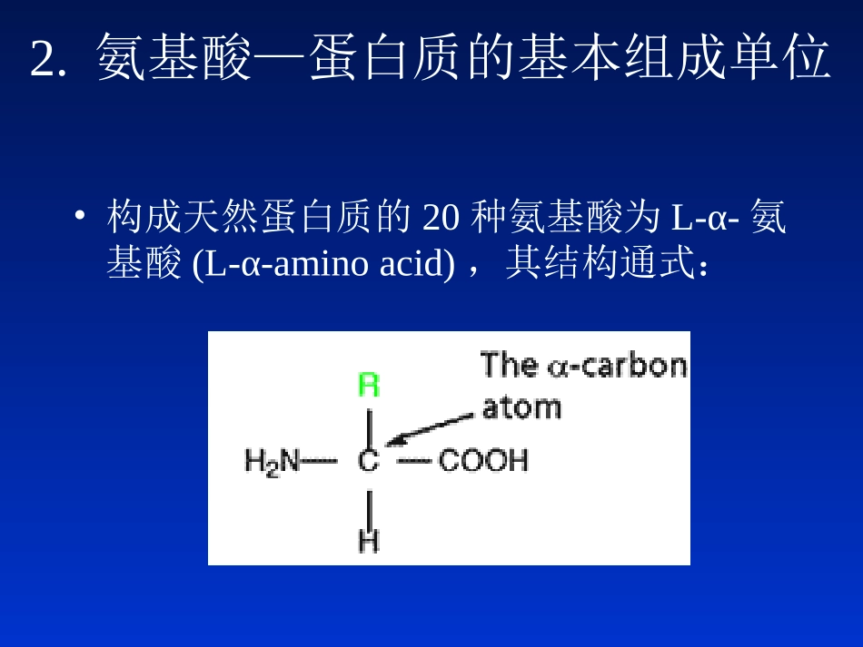 蛋白质的生物学作用_第3页