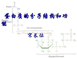 蛋白质的生物学作用