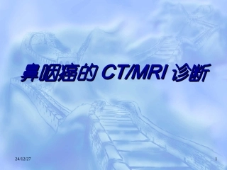 鼻咽解剖-总论