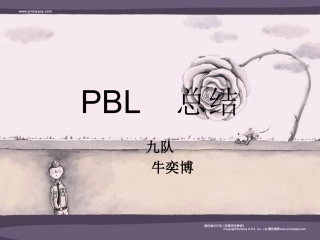 PBL   总结