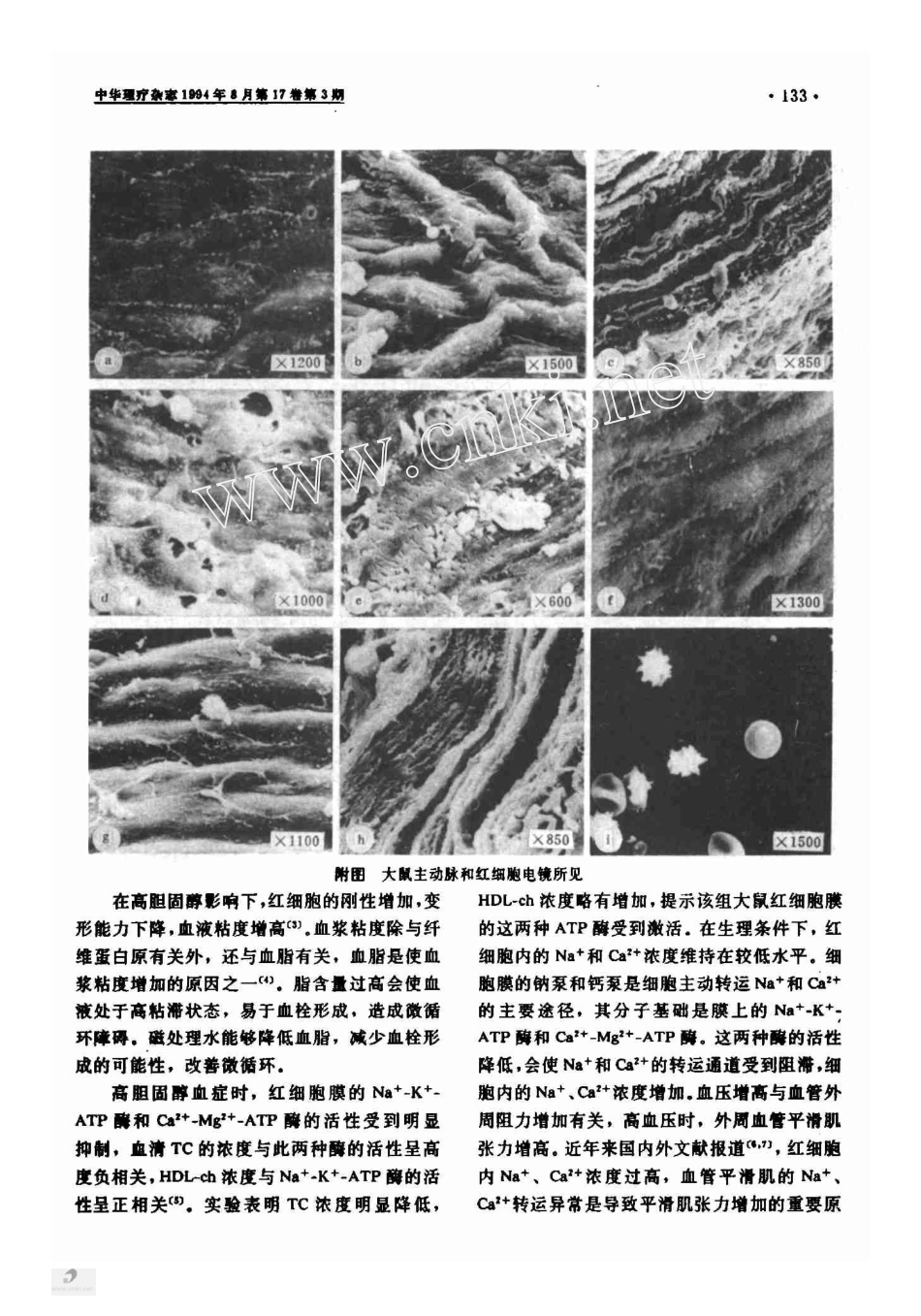 磁处理水对高胆固醇血症大鼠的影响_第3页