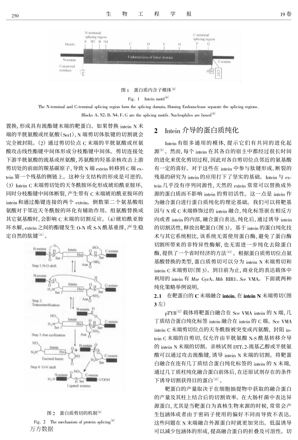 蛋白质剪切及其应用_第2页