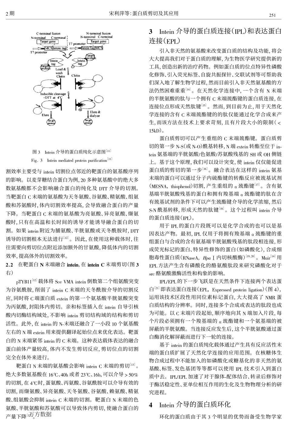 蛋白质剪切及其应用_第3页