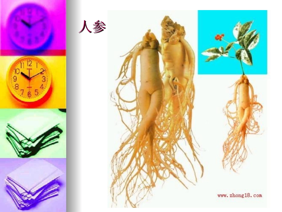 常见中草药(练习4)_第2页