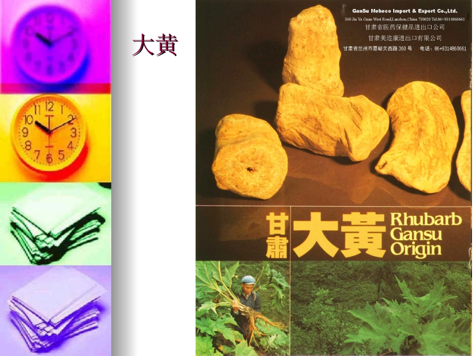 常见中草药(练习4)_第3页